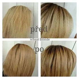 Cosmetikabio 100 % přírodní Barva na vlasy Pšeničná blond (100g)