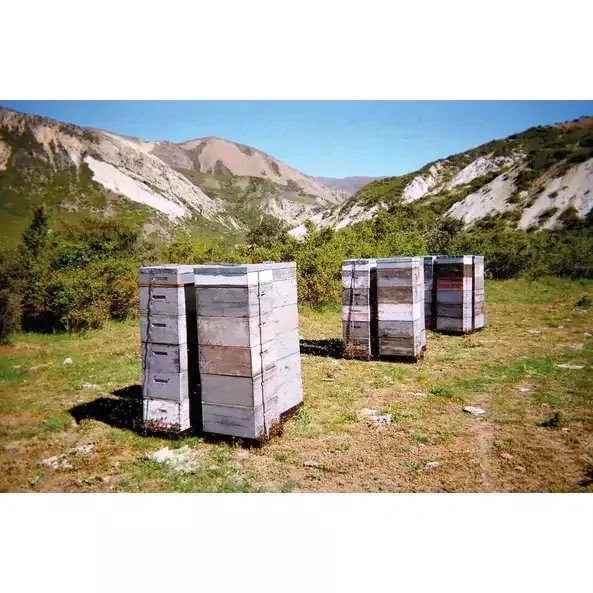 SONNENTOR Silný Manuka med (250g)