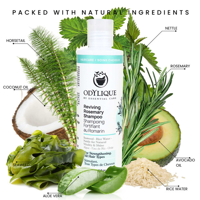 ODYLIQUE Revitalizační šampon – Rozmarýn