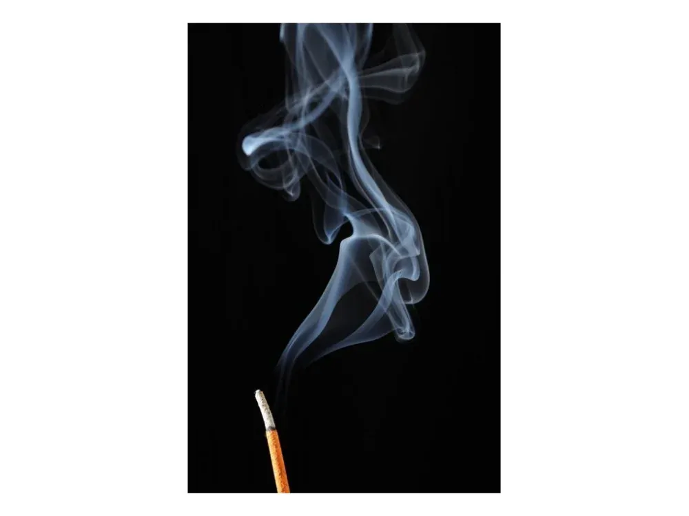 INCOGNITO - Vonné tyčinky proti hmyzu (10ks)