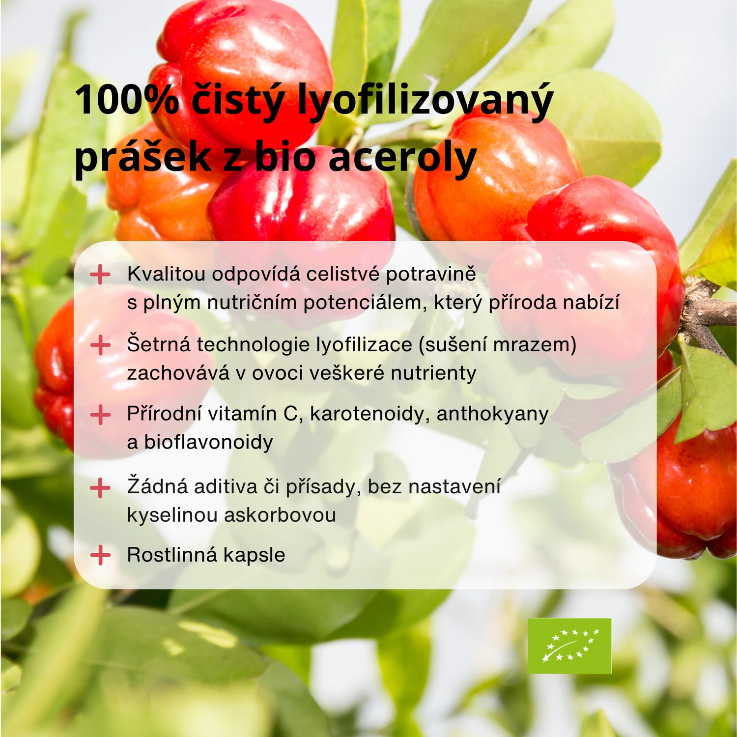 TRIME BIO Acerola (90kapslí) 