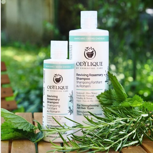ODYLIQUE Revitalizační šampon – Rozmarýn