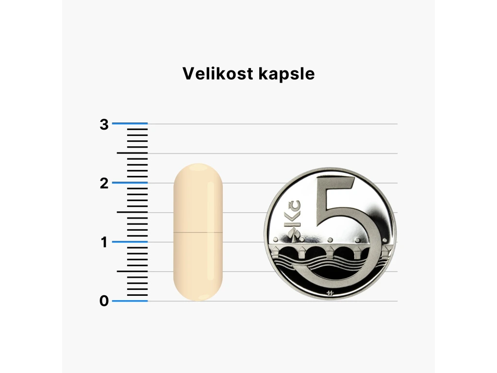 BrainMax Activated Charcoal, aktivní uhlí z kokosových skořápek, 575 mg (100 rostlinných kapslí)