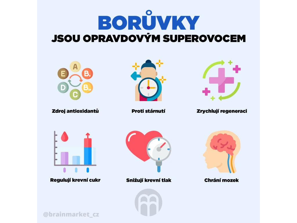 BrainMax Pure Lyophilized Blueberries, Lyofilizované borůvky BIO (45g)