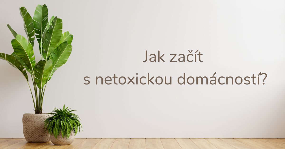 Obrázek : Jak začít s netoxickou domácností