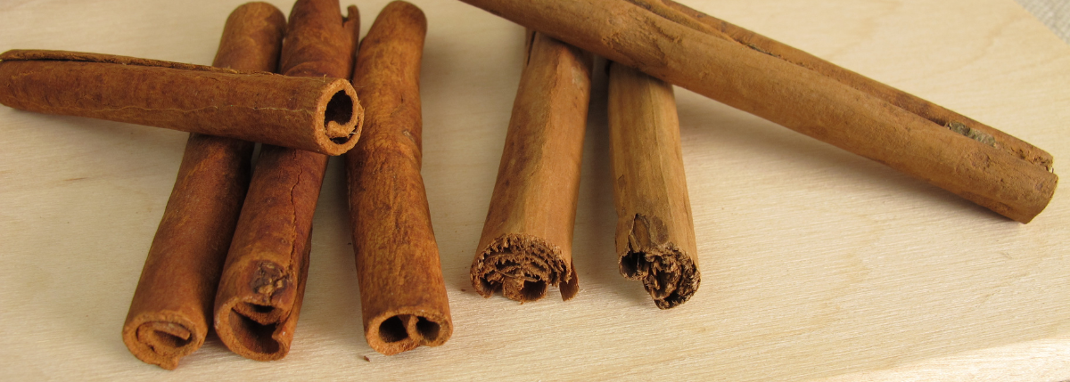 skořice cejlon vs cassia
